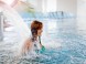 Letný wellness pobyt s procedúrami a jedným vstupom na kúpalisko (dieťa ZDARMA)