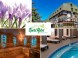 Spring stay with unlimited wellness