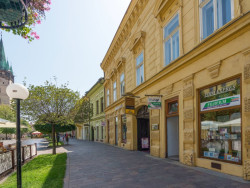 101 Pension Prešov (Preschau)