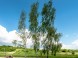 Agrohotel Tri Brezy  #8