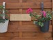 Apartmanovy dom FLORA #43
