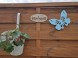 Apartmanovy dom FLORA #49