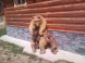 Chalet Devena #15