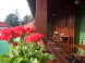 Chalet KAKTUS #2