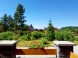 Cottage NIKOL #8