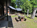 Cottage settlement ZRUB #7