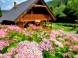 Wooden cottage AMULET #3