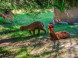 Ecoresort Vendelín #12