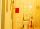 Hostel POSSONIUM #16
