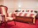 Hotel CAPITAL with private wellness #12