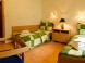 Eco friendly Hotel DALIA #39