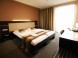 Hotel Dolphin #21