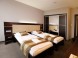 Hotel Dolphin #19