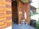 Wooden cottage Liptovska Drevenica #73