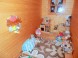 Wooden cottage Liptovska Drevenica #71
