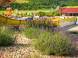 Miraj Resort #91