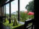 Pension and Restaurant MODRA RYBA #46