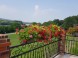 Pension and Restaurant MODRA RYBA #10
