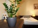 Pension & Wellness ZOBORSKA #29