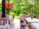 Pension and restaurant VILLA ROSA #44
