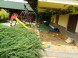 Pension BARTAL #3