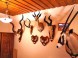 Pension DOLINA #75