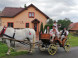 Pension LIMBOVY DVOR #31