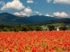 Pillow House Tatras #45