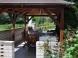 Pension VEPEREC #10