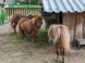 Bauernhof Pod Babicou #32