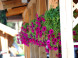 Ranch U EDYHO hotel & restaurant #21