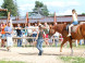 Ranch U EDYHO hotel & restaurant #27