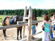Ranch U EDYHO hotel & restaurant #30