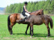 Ranch U EDYHO hotel & restaurant #45