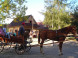 Ranch U EDYHO hotel & restaurant #50