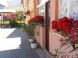 Apartments FORTUNA #35