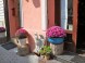 Restaurant and Pension PORTUS #21