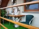Accommodation KRISTIAN #18