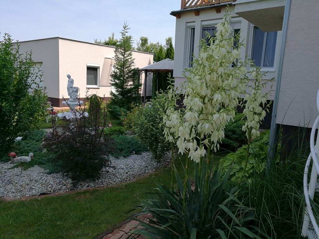 Apartment ŠARLOTA #9