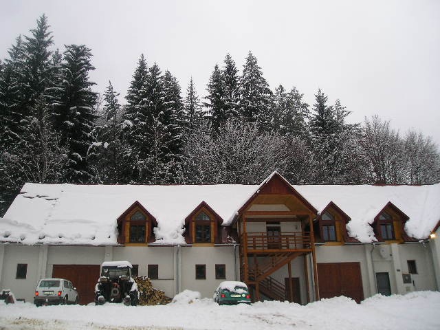 Apartments DREVO LISKA #2