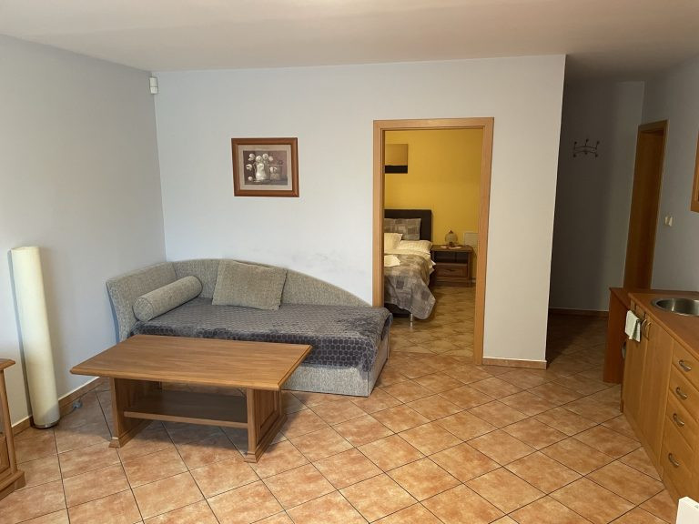 Appartements KAMENNY DOM #41
