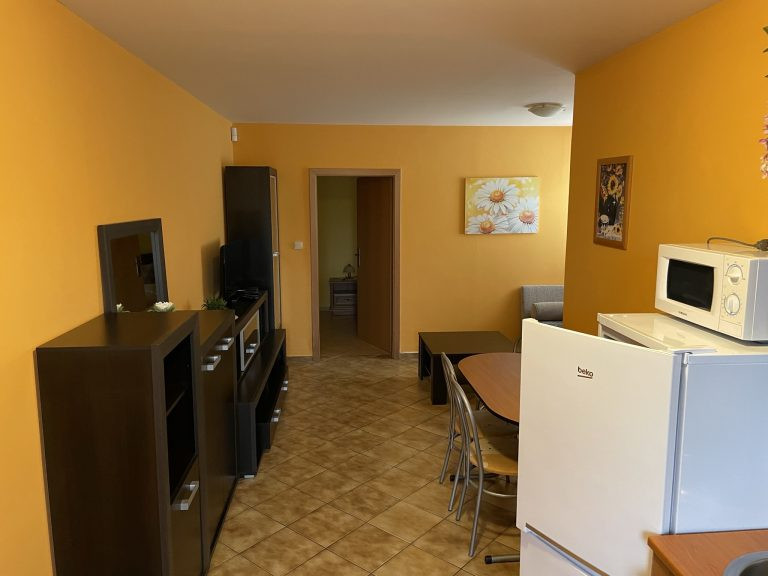 Appartements KAMENNY DOM #46