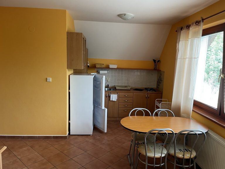 Appartements KAMENNY DOM #7
