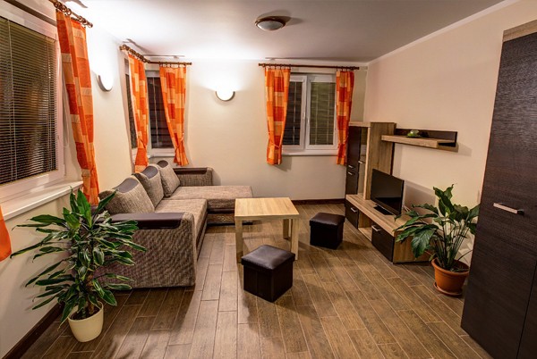 Apartments LENKA & WELLNESS #9