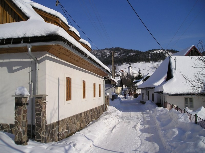 Cottage ANDY #15