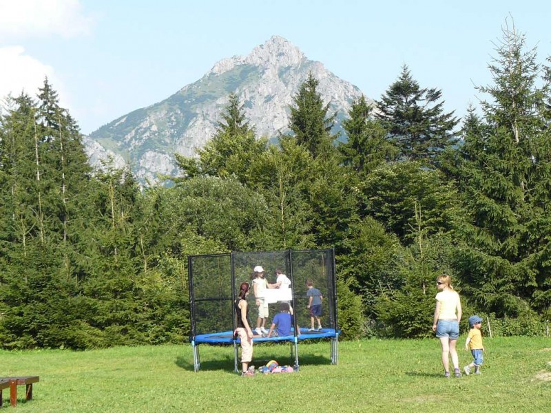 Mountain Chalet NA GRUNI #27