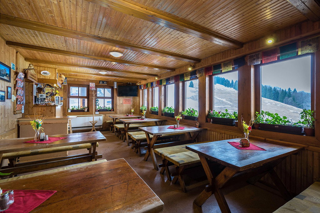Mountain Chalet NA GRUNI #5
