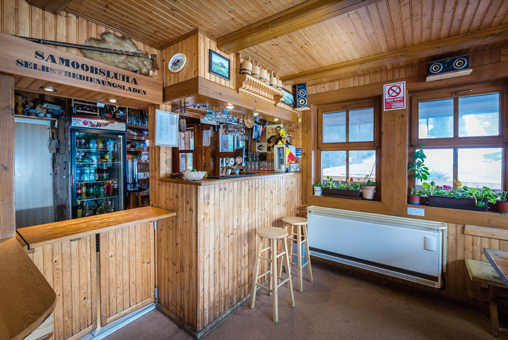 Mountain Chalet NA GRUNI #10