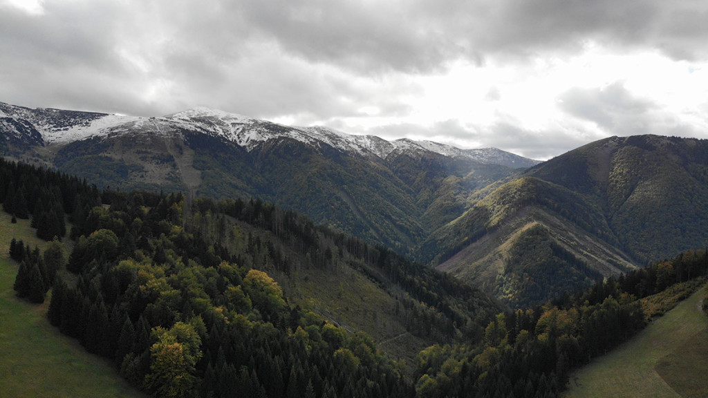 Mountain Chalet NA GRUNI #16