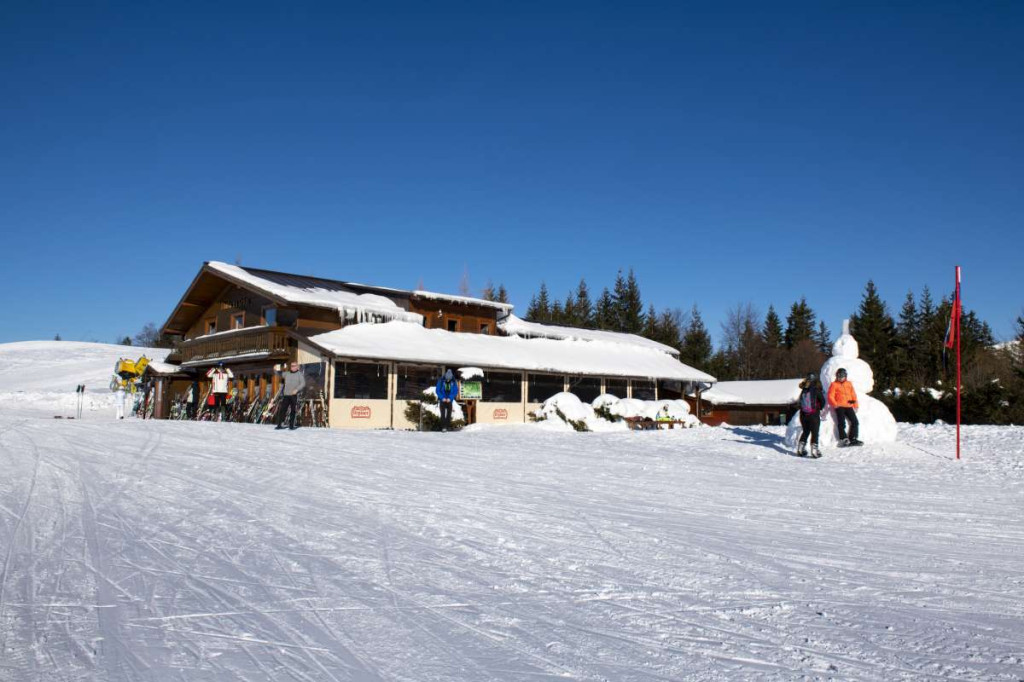 Mountain Chalet NA GRUNI #30